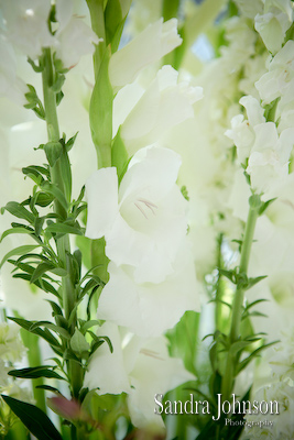 Best Lake Mary Events Center Wedding Pictures - Sandra Johnson (SJFoto.com)